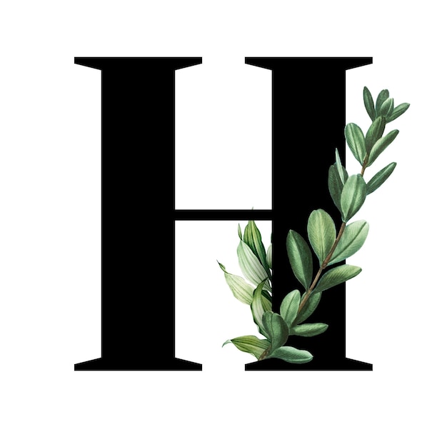 Botanische hoofdletter H doorzichtig png