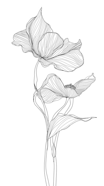 Botanische kunst Met de hand getekende continue lijntekening van een abstracte bloem