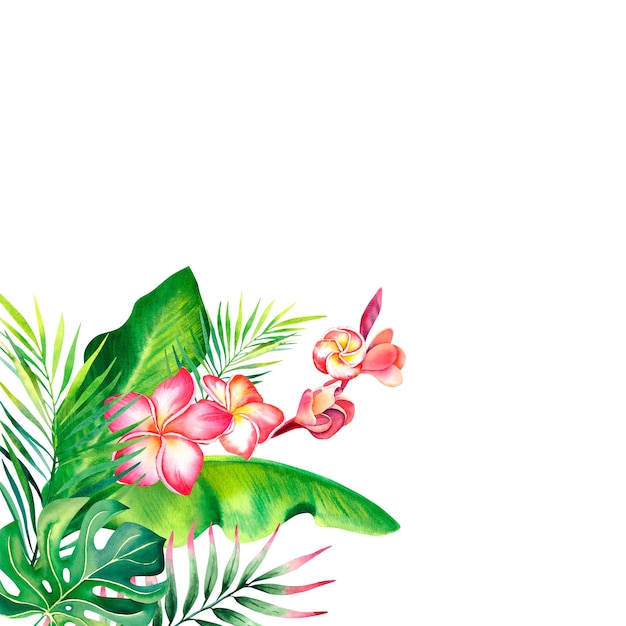 Botanische samenstelling van bloemen van plumeria palmtak en monstera Tropische planten Aquarel illustratie op een geïsoleerde achtergrond