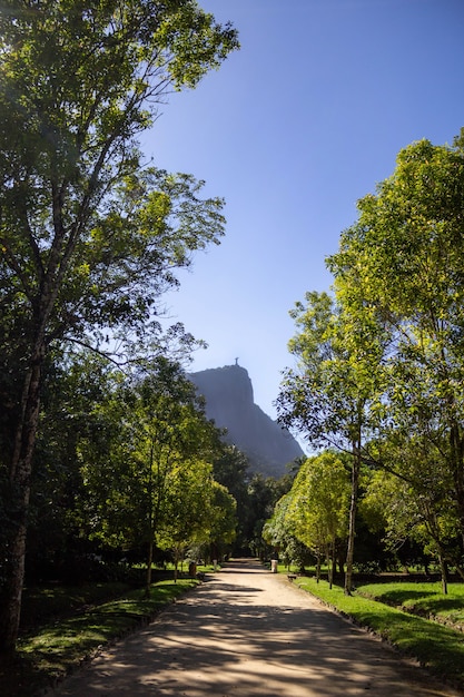 Botanische tuin Christus de Verlosser op de achtergrond