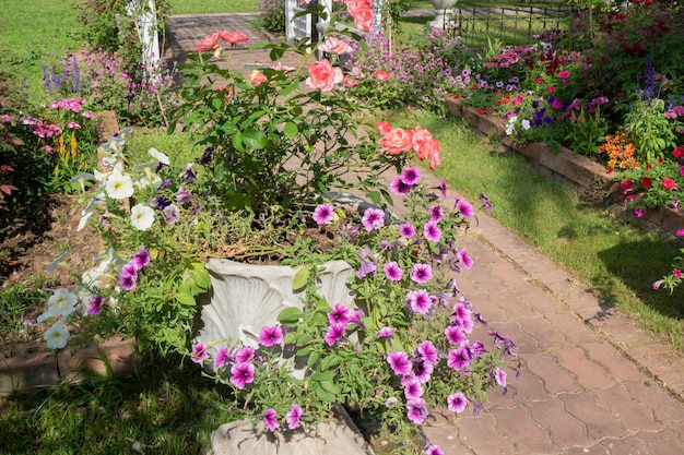 Botanische tuin groene takken van plantenpot