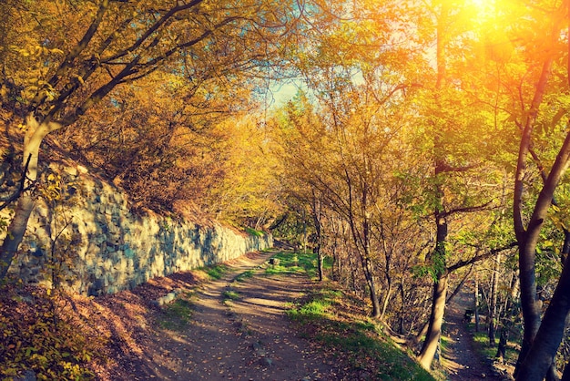 Botanische tuin in de stad Tbilisi bij zonsondergang Georgië