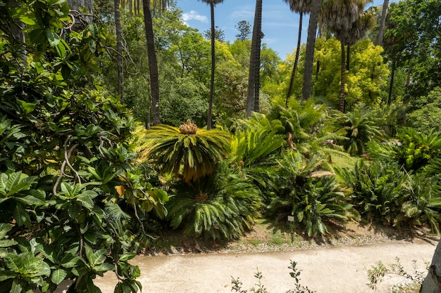 Botanische tuin van Lissabon