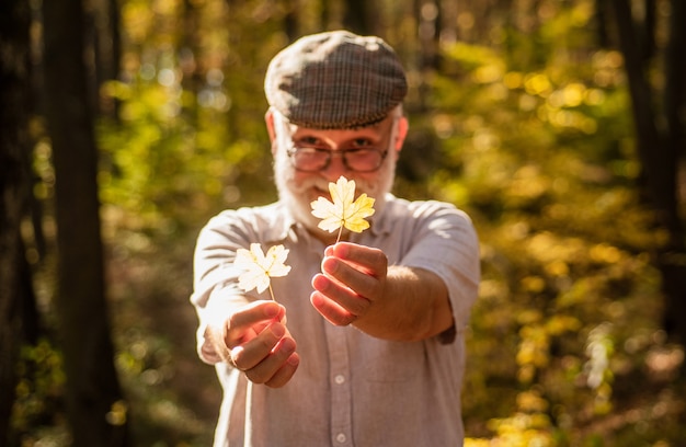 Botanist examine herbs. Bearded grandfather in forest. Man enjoy autumn nature. Curiosity to botany. Explore world around. Pensioner hiking in forest on sunny autumn day. Old man collect leaves.