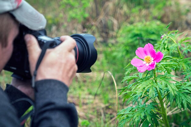 Foto un fotografo botanico scatta una foto di un fiore selvatico di campo rosso nella foresta