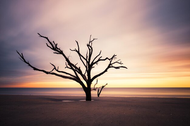 Botany Bay beach at cloudy sunset