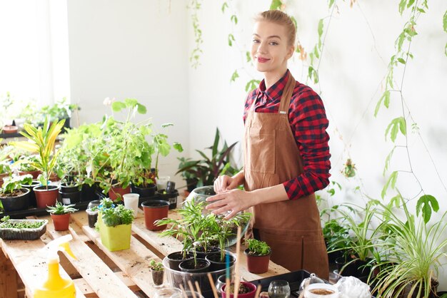 식물학. 여성 꽃집은 집 식물과 꽃을 키웁니다. 미니 테라리움 만들기