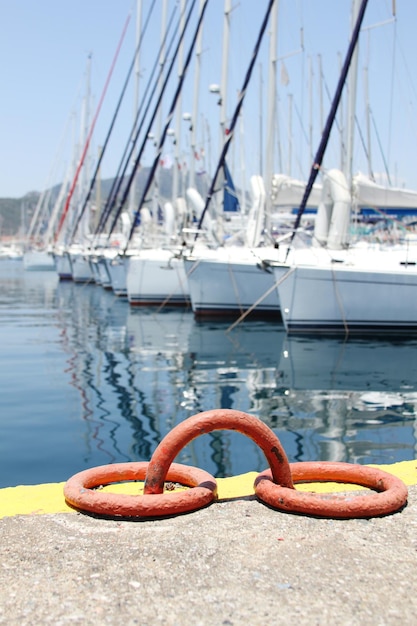 Boten in de haven