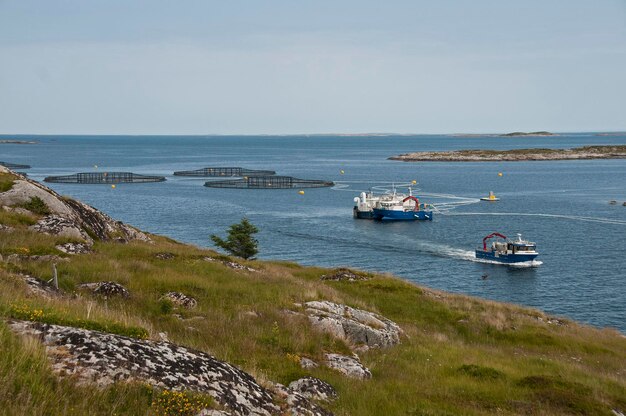 Foto boten op zee