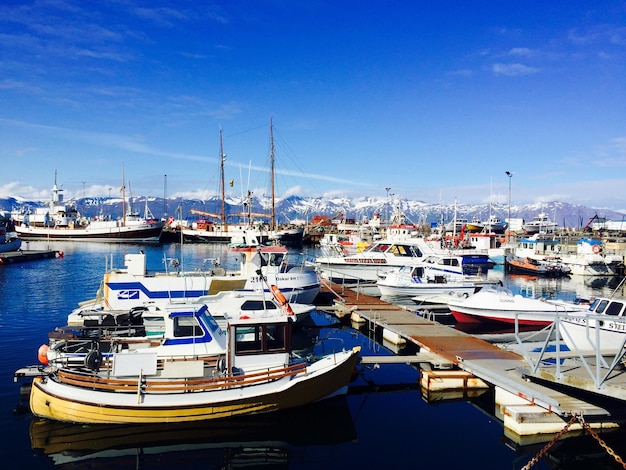 Boten verankerd in de haven tegen de blauwe hemel.