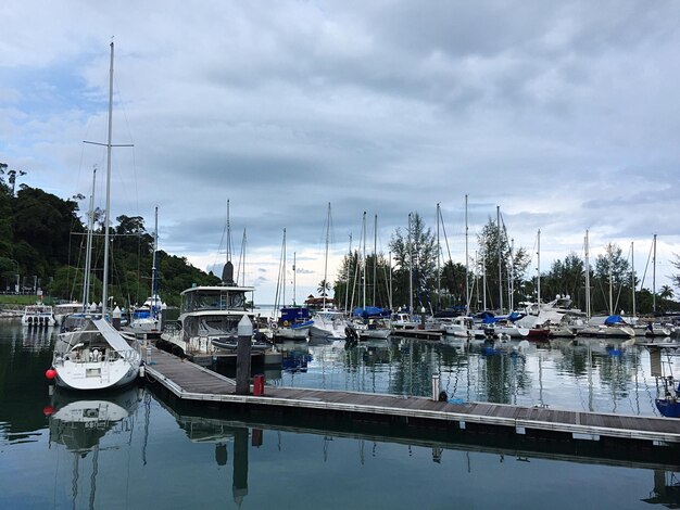 Foto boten verankerd in de haven