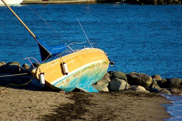 Boten verankerd op zee