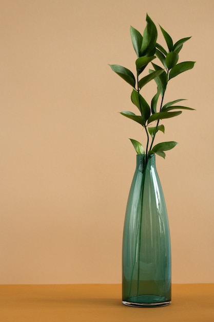 Bottle of blue glass with fresh green domestic plant leaves standing on table on brown wall as part of home interior or studio of design