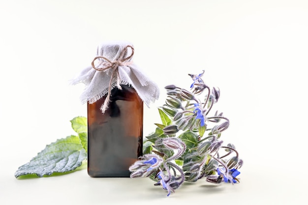 bottle of borago flower oil and a sprig of borago