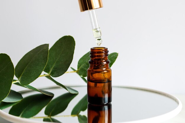 Bottle of cosmetic essential oil with dropper and eucalyptus leaf closeup Serum oil is dripping