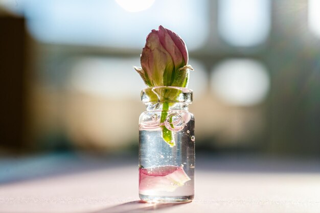 Photo a bottle of cosmetic gel with rose flower