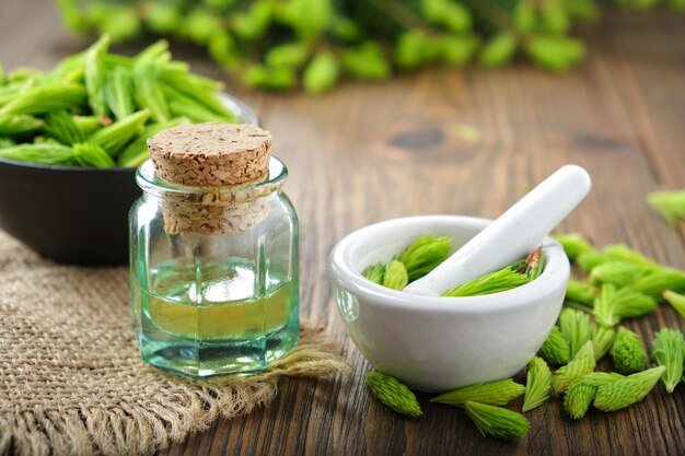 Bottle of essential oil infusion from fir buds and needles mortar of spruce tips twigs of fir tree