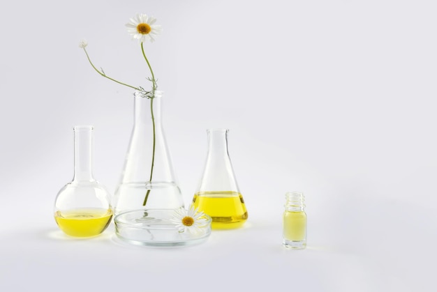 Bottle of essential oil laboratory flasks with a solution and a chamomile flower