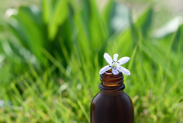 Bottle for essential oil on a spring background. Essential oil bottle in a spring garden. Spring essential oil bottle.