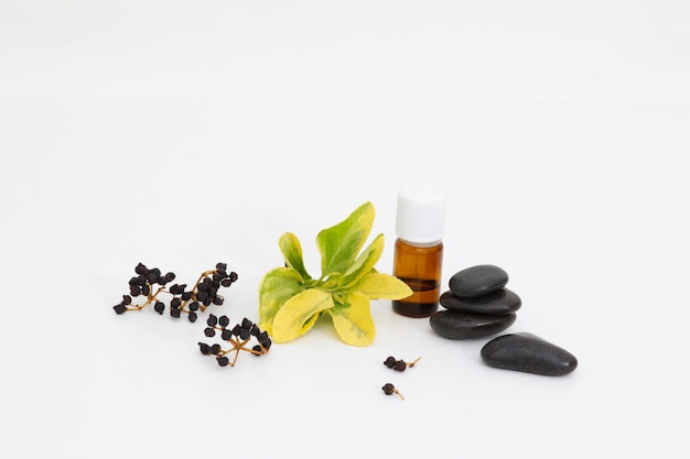 A bottle of essential oil with black stones and black peppermint leaves.