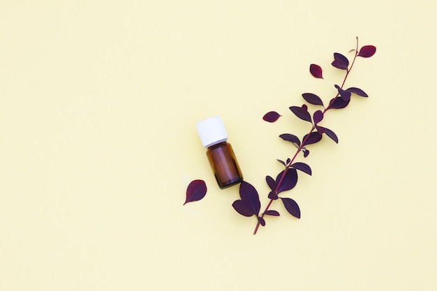 A bottle of essential oil with a branch of purple leaves on a yellow background.