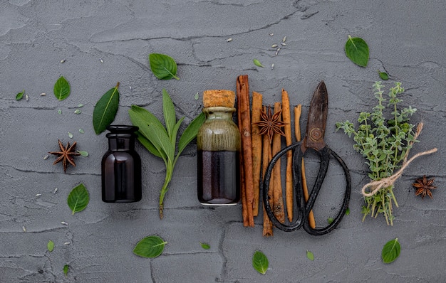 Bottle of essential oil with fresh herbal set up