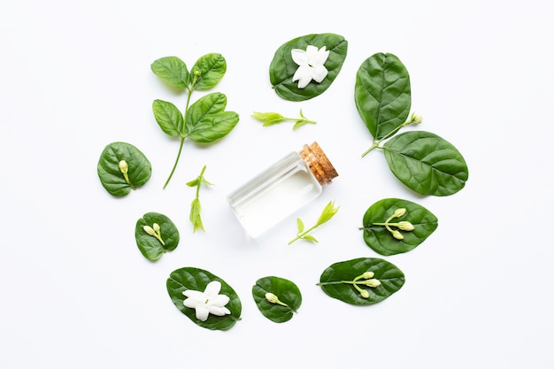 Bottle of essential oil with jasmine flower and leaves on white.