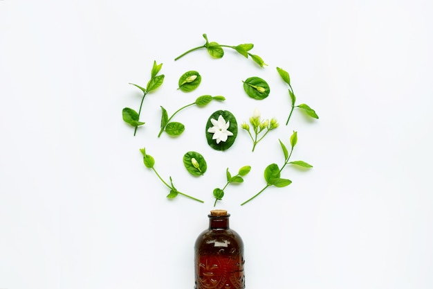 Bottle of essential oil with jasmine flower and leaves on white.