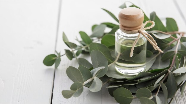 A bottle of essential oils and eucalyptus leaves on a white background skin and body care concept
