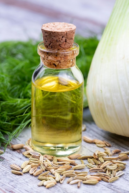 A bottle of fennel essential oil with fresh green fennel twigs and fennel seeds in the background