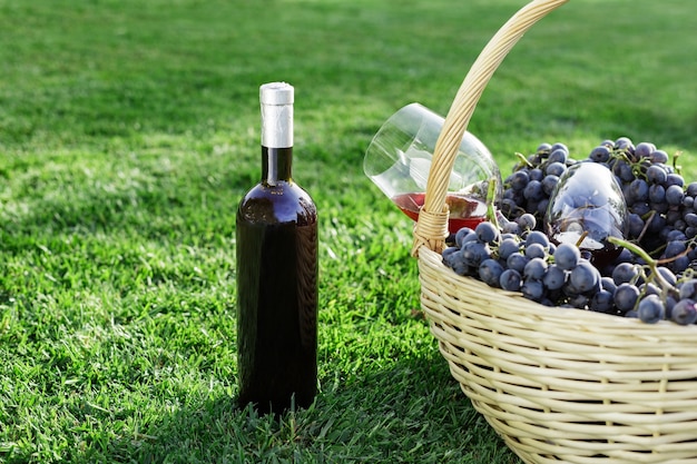 Bottle and glasses of red wine and basket of fresh grape