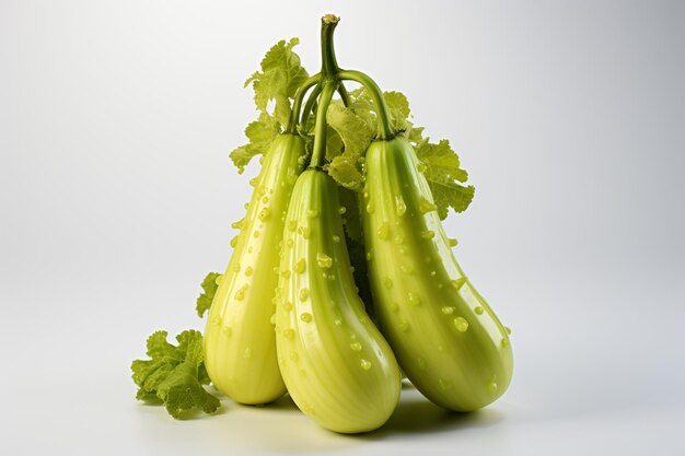 Photo bottle gourd on white background