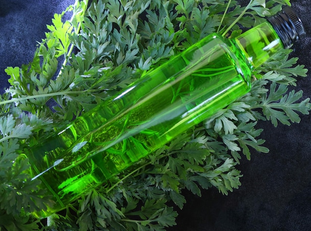 bottle of green absinthe drink on the black background with herbs