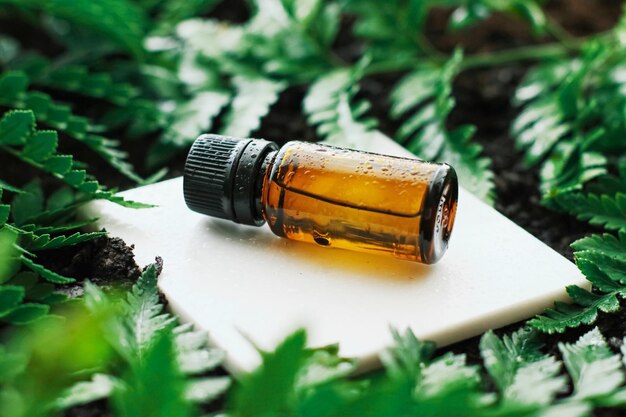 Bottle of herbal essential oil in a green tropical garden natural scent and organic cosmetics