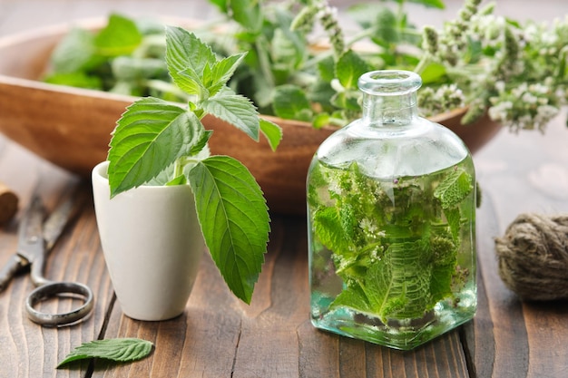 Bottle of infusion or oil made from mint leaves and blossom peppermint Mortar of spearmint leaves