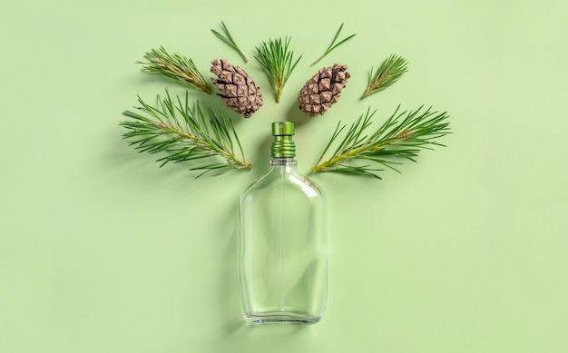 Bottle of perfume and cones and needles of conifers trees on a green background