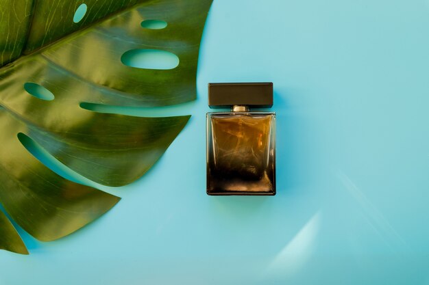 Bottle of perfume and green leaf. Big tropical leaf and bottle of perfume on light blue background.