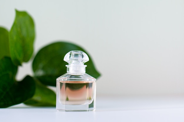 A bottle of perfume on a of green leaves.