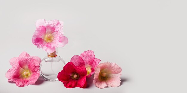 Bottle of perfume and mallow flowers Perfume fragrance freshness concept Long banner format