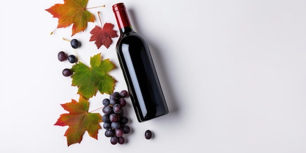 Bottle of red wine with ripe grapes and vine leaves on background