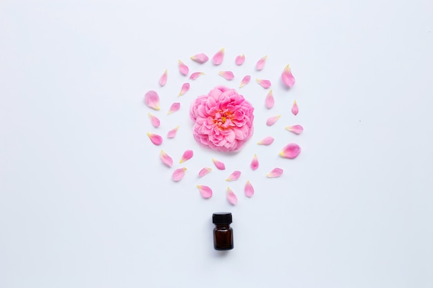 Bottle of rose essential oil for aromatherapy on white