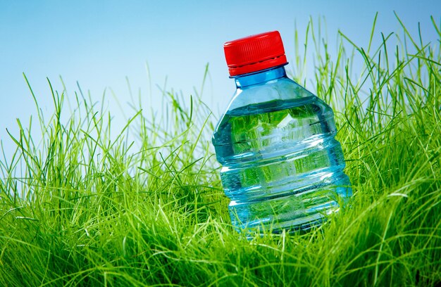 Bottle of water on the green grass