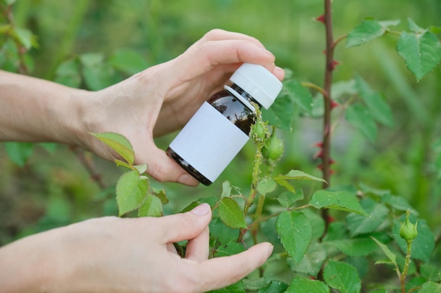 Bottle with chemical insecticide in the gardeners hand close-up