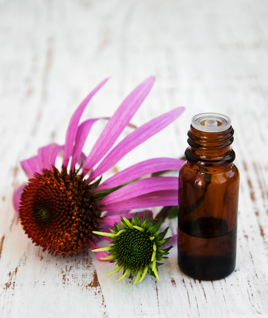 Bottle with essence oil with purple echinacea