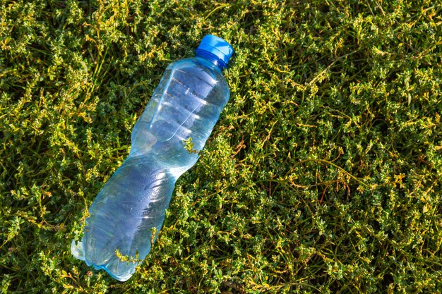 Bottle with fresh clean water on green grass. Top view, copy space