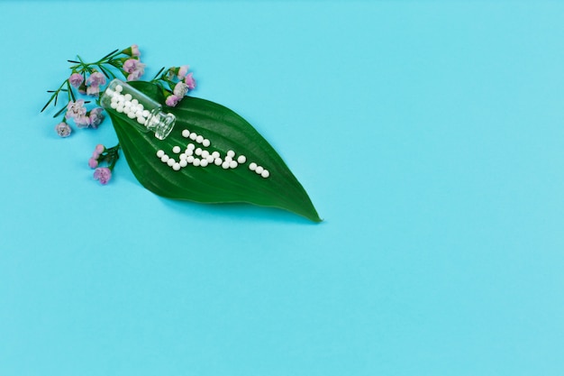 Bottle with homeopathic pills and green plant leaves on blue background.