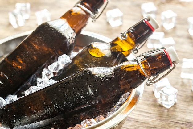 Bottles of beer in ice cubes