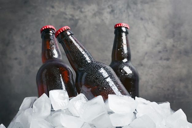 Bottles of beer in ice on gray background