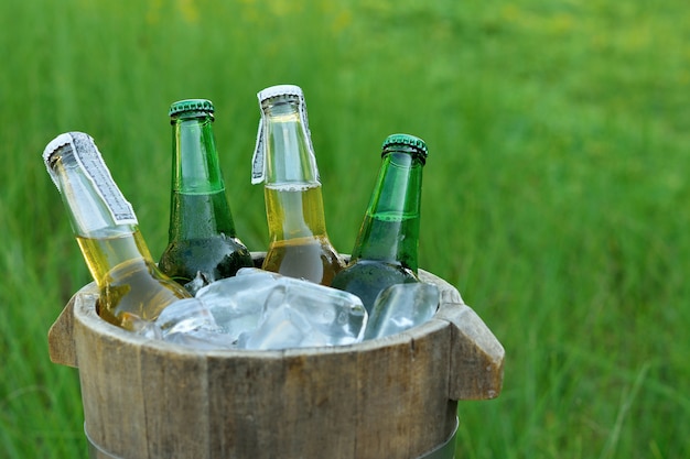 Bottiglie di birra nel secchio di legno con ghiaccio