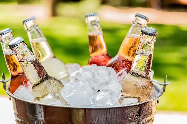 Bottles of cold and fresh beer with ice isolated